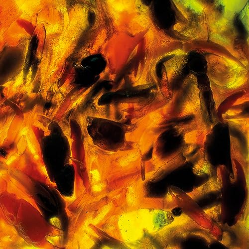 PLAGUE RIDER - INTENSITIES - CD