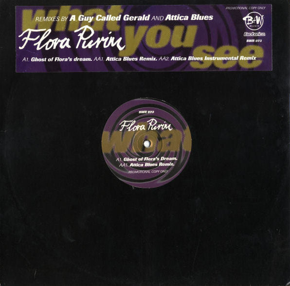 Flora Purim - What You See - Used Vinyl Record 12"
