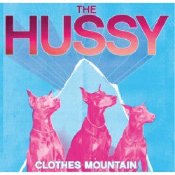 Hussy - Clothes Mountain - Used Vinyl Record 10"