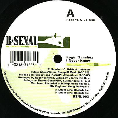 Roger Sanchez - I Never Knew - Used Vinyl Record 12"
