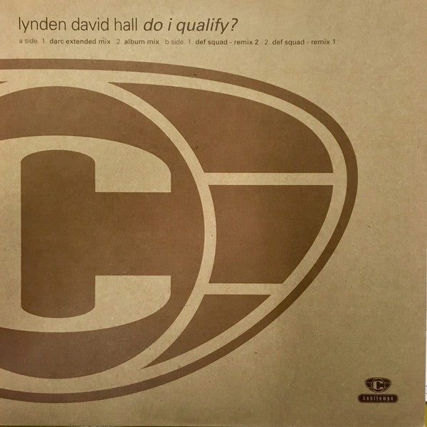 Lynden David Hall - Do I Qualify ? - Used Vinyl Record 12"