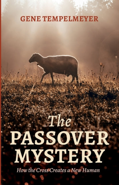 mpelmeyer - Passover Mystery - New paperback or softback