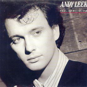 Andy Leek - Say Something - Used Vinyl Record