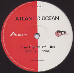 Atlantic Ocean - Cycle Of Life - Used Vinyl Record 12"