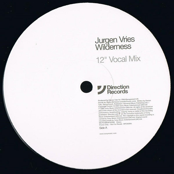 Jurgen Vries - Wilderness - Used Vinyl Record 12"