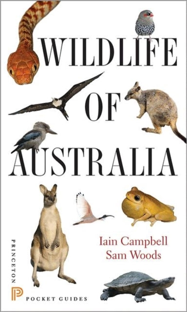 Sam Woods - Wildlife of Australia - Paperback