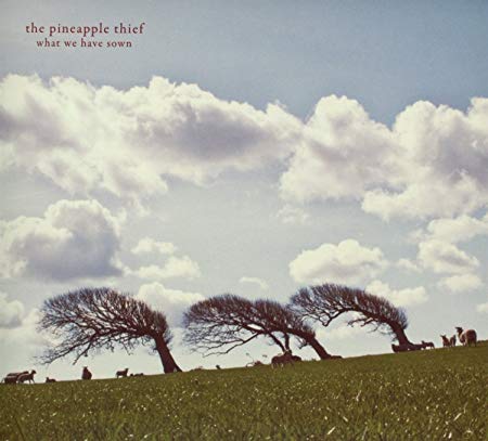Pineapple Thief - What We Have Sown - CD