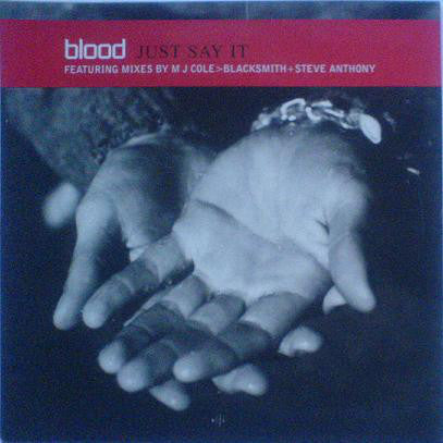 Blood - Just Say It - Used Vinyl Record 12"