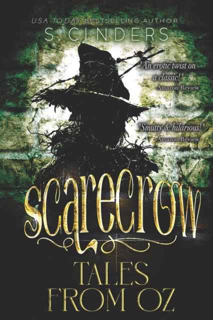 Cinders - carecrow Tale from Oz - New paperback or softback