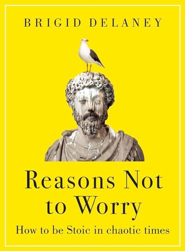 Brigid Delaney - Reasons Not to Worry How to be Stoic in chaotic tim