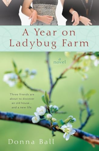 Ball - A Year on Ladybug Farm - New paperback or softback