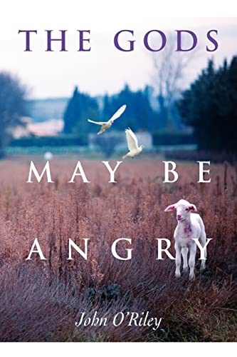 O'Riley - Gods May Be Angry - New paperback or softback