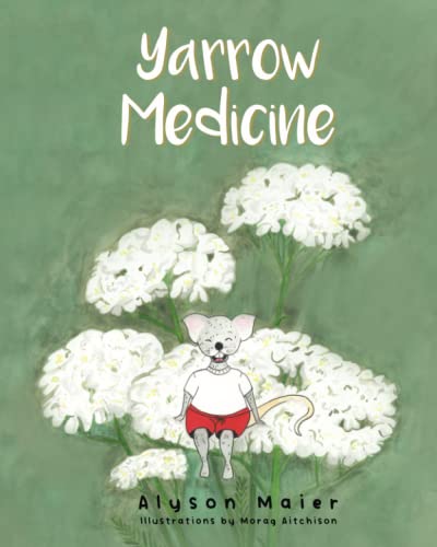 Maier - Yarrow Medicine - New paperback or softback