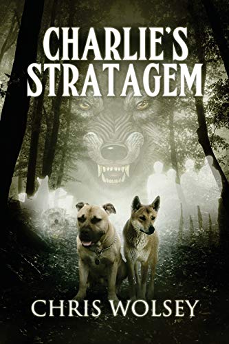Wolsey - Charlie's Stratagem - New paperback or softback