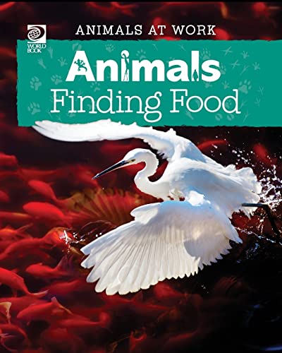 Wolf - Animals Finding Food - New paperback or softback