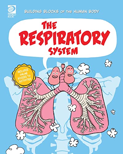 Midthun - Respiratory System - New paperback or softback