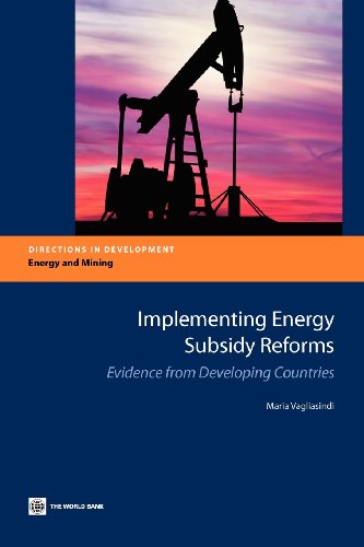 Vagliasindi - Implementing Energy Subsidy Reforms - New paperback or s