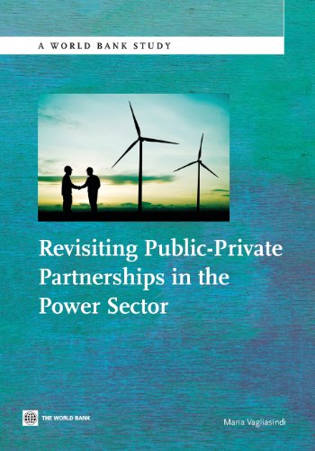 Vagliasindi - Revisiting Public-Private Partnerships in the Power Sect