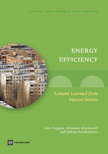 Stuggins - Energy Efficiency: Lessons Learned from Success Stories - N