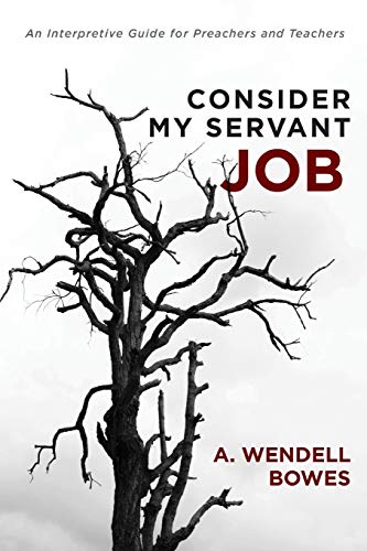 Bowes - Consider My Servant Job: An Interpretive Guide for Preachers a