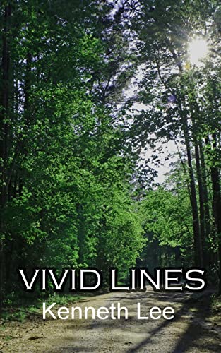 L - Vivid Lines - New paperback or softback