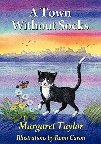 aylor - A Town Without Socks - New paperback or softback