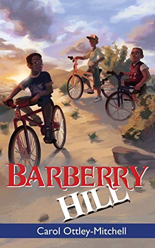 Ottley-Mitchell - Barberry Hill - New paperback or softback