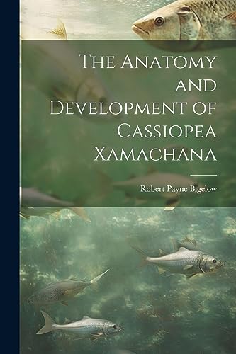 Bigelow - Anatomy and Development of Cassiopea Xamachana - New paperba