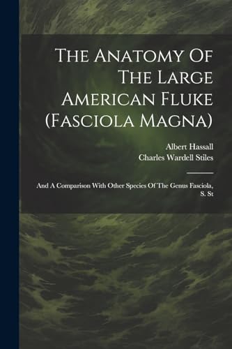 Stiles - Anatomy Of The Large American Fluke (fasciola Magna): And A C