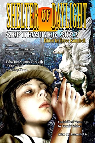 Campbell - Shelter of Daylight September 2022 - New paperback or softb