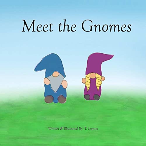 Ingram - Meet the Gnomes - New paperback or softback
