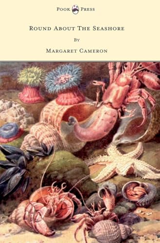 Cameron - Round about the Seashore - With Eight Coloured Pictures - Ne
