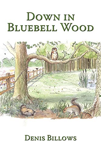 Billows - Down in Bluebell Wood - New paperback or softback