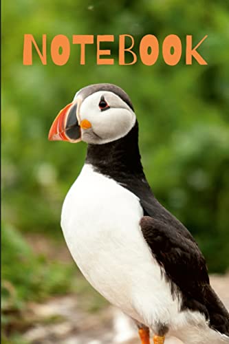 Vanc - Puffin Notebook - New paperback or softback