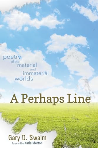 Swaim - A Perhaps Line - New paperback or softback