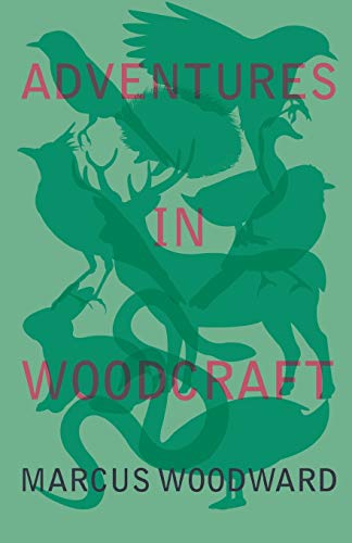 Woodward - Adventures in Woodcraft - New paperback or softback