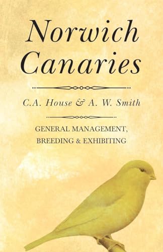 Hous - Norwich Canaries - New paperback or softback