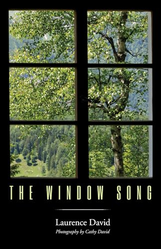 David - Window Song - New paperback or softback