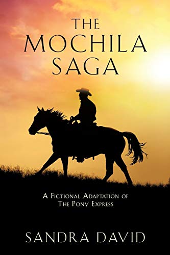 David - Mochila Saga - New paperback or softback