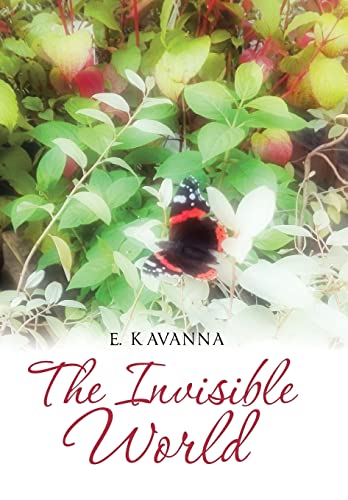 Kavanna - Invisible World - New hardback or cased book