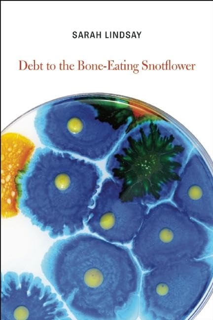 Lindsay - Debt to the Bone-Eating Snotflower - New paperback or softba