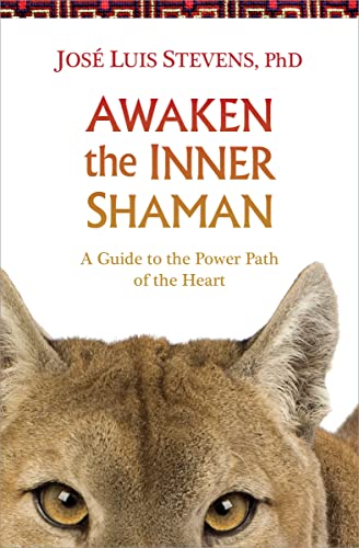 STEVENS - Awaken the Inner Shaman - New paperback or softback