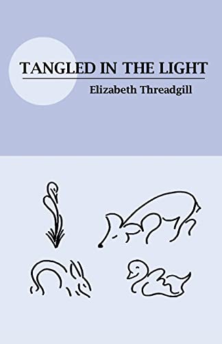 readgill - Tangled in the Light - New paperback or softback