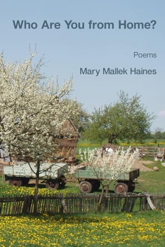Haines - Who Are You from Home? - New paperback or softback