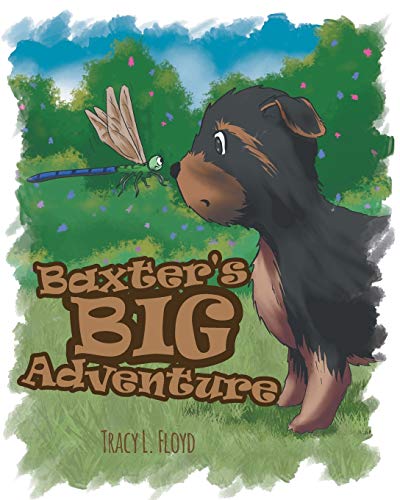Floyd - Baxter's Big Adventure - New paperback or softback