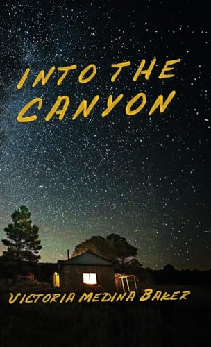Baker - INTO THE CANYON - New hardback or cased book