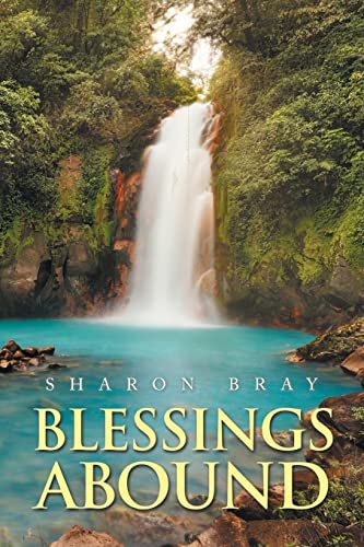 Bray - Blessings Abound - New paperback or softback