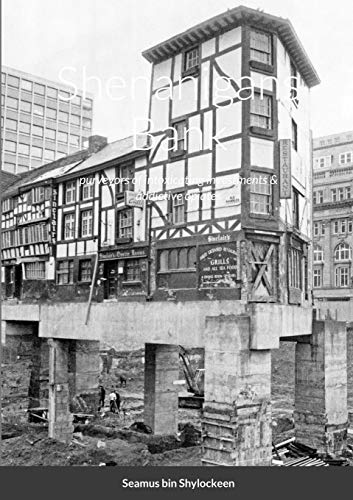 bin Shylockeen - Shenanigans Bank purveyors of intoxicating investmen