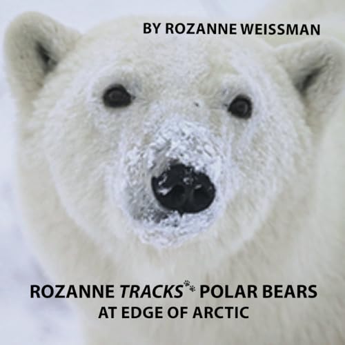 Weissman - Tracks Polar Bears at Edge of Arctic - New paperback or sof