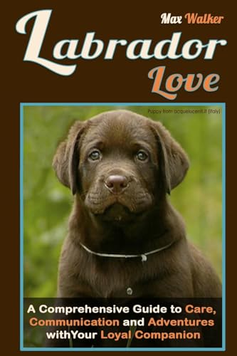 Walker - Labrador Love: A Comprehensive Guide to Care, Communication,